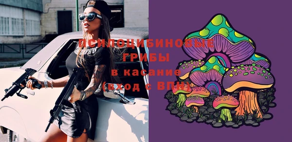 ПСИЛОЦИБИНОВЫЕ ГРИБЫ Кинешма